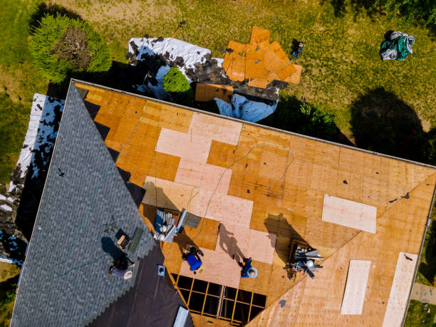 Best Storm Damage Roof Repair  in Woodstown, NJ