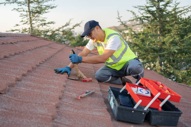 Best Roof Repair Services  in Woodstown, NJ
